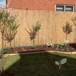 Rietmatten schutting 2 meter hoog