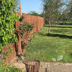 Wilgenmatten schutting 180 x 500 cm