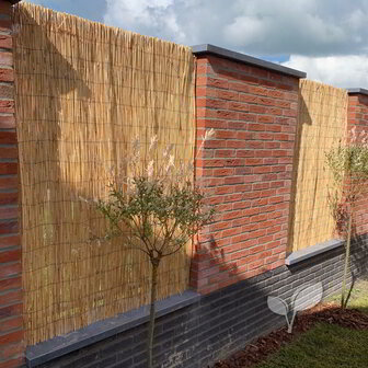 Gepelde rietmatten 2 meter hoog hekwerk bekleding