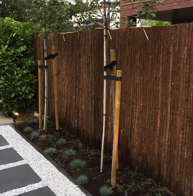 Een natuurlijke schutting