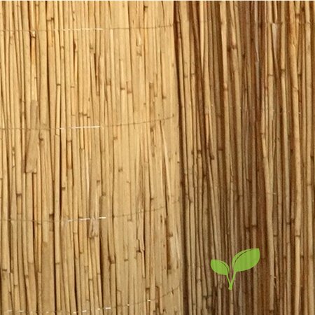 Rietmat Premium 80 x 600 cm