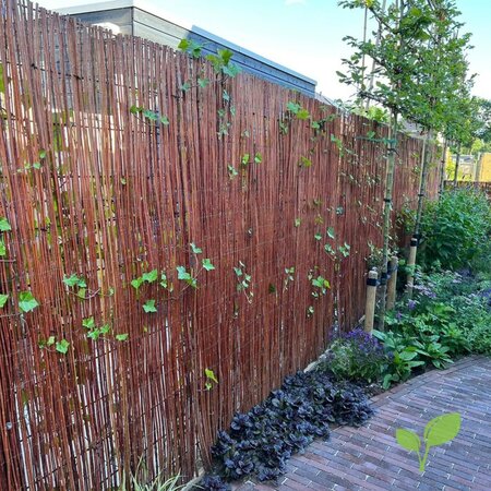 Wilgenmat 200 x 500
